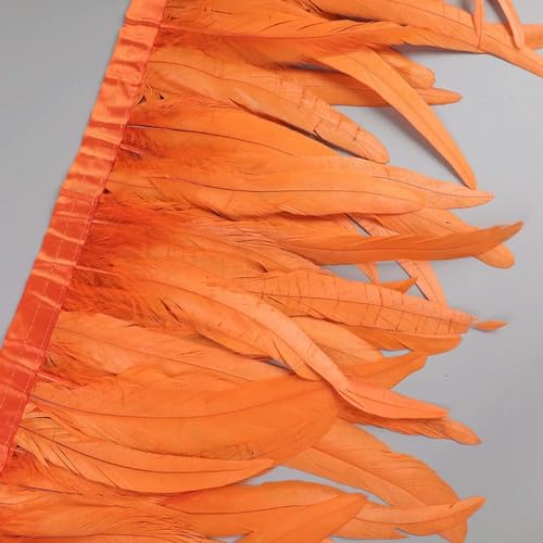 Federn Zierleisten Fransen Kleid Nähen Basteln 25–30 cm Hahnenfederbesatz, Hühnerfedern, Besatz, Hahnenschwanzfeder, Band, Kleid, Rock, Kostüm, Karneval, Dekoration(Orange) von QCKNKMGG