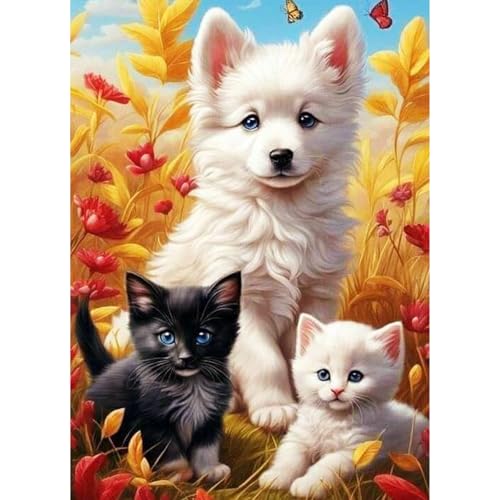 QENSPE 5D Diamond Painting Katzen Komplett, Hunde Diamond Painting Set für Erwachsene, Tier Diamond Art Malerei DIY Diamant Kunst Handwerk für Anfänger Wand Dekor 30x40 cm von QENSPE