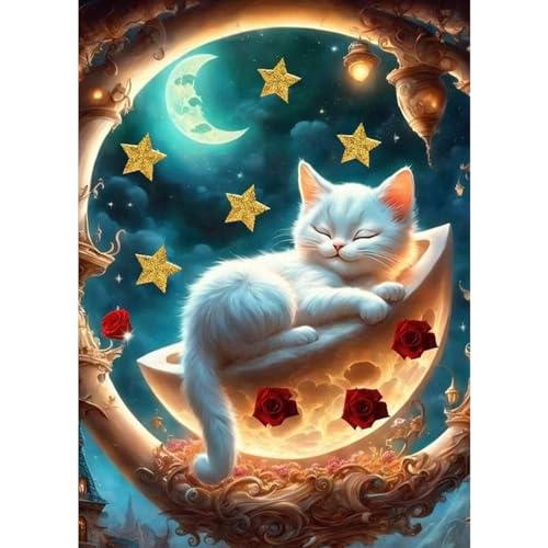 QENSPE 5D Diamond Painting Kit für Erwachsene, Katze Diamant Kunst Set Komplett, DIY Diamant Malerei Fantasie Set Anfänger Kristall Stickerei Set, Heim Wand Dekor Geschenk, 30x40 cm von QENSPE