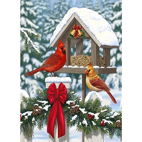 QENSPE 5D Diamond Painting Weihnachten Winter Diamant Painting Bilder Roter Vogel Diamond Art Erwachsene Full DIY Diamant Kunst Malerei Stickerei Set Kreuzstich Bilder Home Wand Dekor 30x40cm von QENSPE