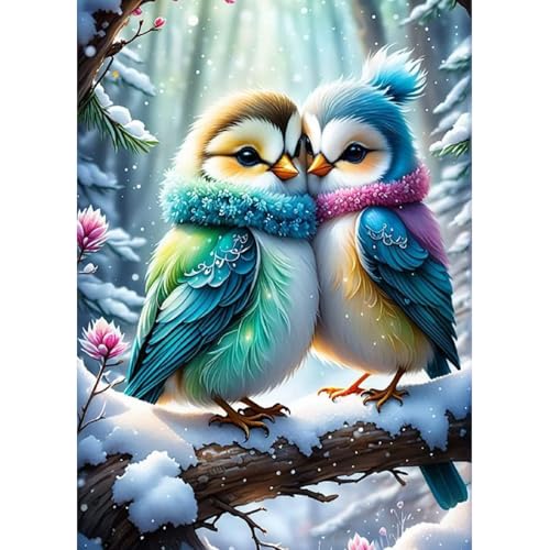 QENSPE 5D Diamond Painting Winter Komplett, Vögel Diamond Painting Set für Erwachsene, Vögel Diamond Art Malerei DIY Diamant Kunst Handwerk für Anfänger Wand Dekor 30x40 cm von QENSPE