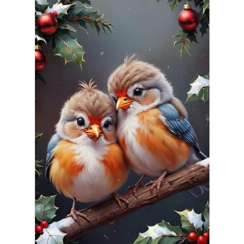 QENSPE 5D Weihnachten Diamond Painting Set für Erwachsene, Diamond Painting Vogel Diamond Art Malerei DIY Kristall Strass Diamant Kunst Handwerk für Anfänger Home Wand Dekor 30x40 cm von QENSPE