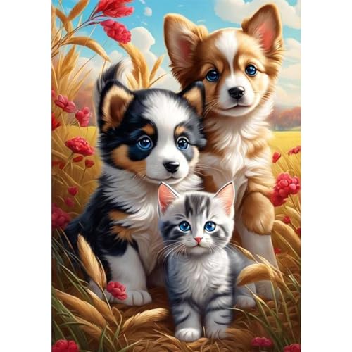 QENSPE Katze Hunde Diamant Painting Bilder Kinder,5D Katze Diamond Painting Set für Erwachsene,DIY Diamant Kunst Strass Bilder Kits,Runde Steine Diamant Painting Zuhause Dekor 30x40cm von QENSPE