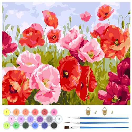 QENSPE Malen Nach Zahlen Erwachsene, DIY Handgemalt Ölgemälde Kit für Anfänger und Erwachsene Mit 3-Pinseln und Acrylfarbe, Ohne Rahmen Paint by Numbers Adult 40x50CM (Rote Rosa Blumen) von QENSPE