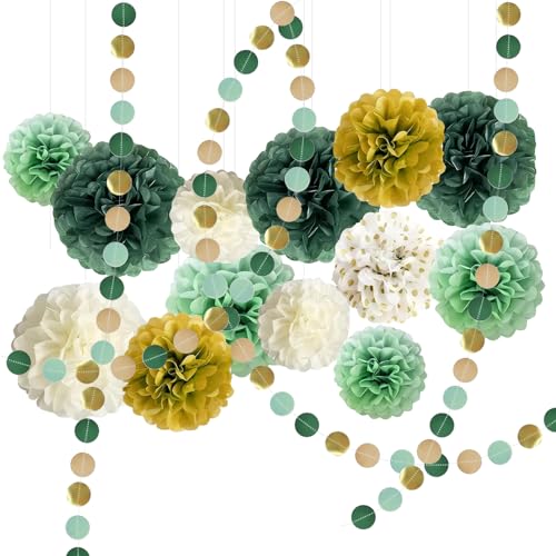 Seidenpapier Pompons Deko 15 Stück, Waldgrün Tissue Papier Pom Poms und Dots Papier Girlande, Party Dekorationen für Hochzeit Babyparty Deko, Abschlussball Geburtstag Gartenparty deko von QESSUVNC