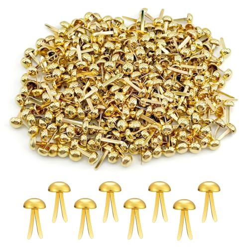 300 Stück Musterbeutelklammern,Rundkopfklammern Wiederverwendbar,Metall Papierverschlüsse,Metall Musterklammern Einfach zu Benutzen,Scrapbooking Brad für Schule Büro Basteln Handwerk DIY 300 Stück Musterbeutelklammern,Rundkopfklammern Wiederverwendbar,Metall Papierverschlüsse,Metall Musterklammern Einfach zu Benutzen,Scrapbooking Brad für Schule Büro Basteln Handwerk DIY von QHSXMQ