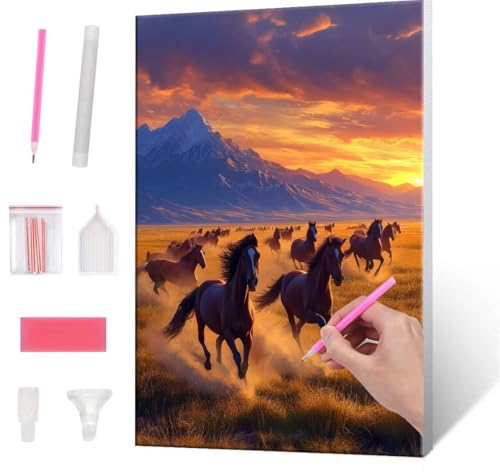 5D Diamond Painting Bilder, Diamant Painting Grassland Horse, Diamond Painting Set für Erwachsene Kinder, Komplettes DIY Diamond Art Malen Stickset, Kreuzstichbilder für Wohnkultur 100x130 cm k-79 von QIANLUOO