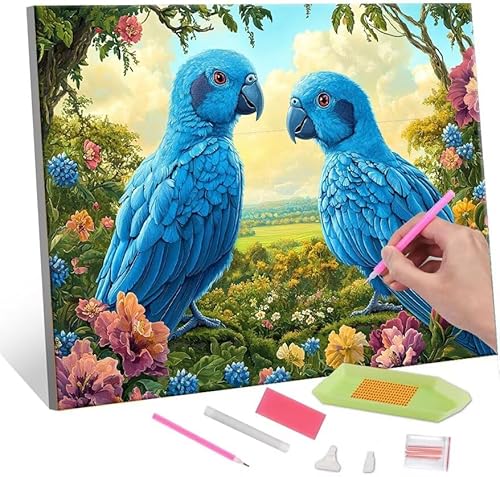 Diamond Painting Erwachsene Kinder, 5D Blue bird Diamant Painting Bilder Anfänger, DIY Runder Vollbohrer Diamanten Malerei Stickerei Set Kreuzstich Frauen Geschenke Home Wand Dekorieren 30x40cm H-539 von QIANLUOO