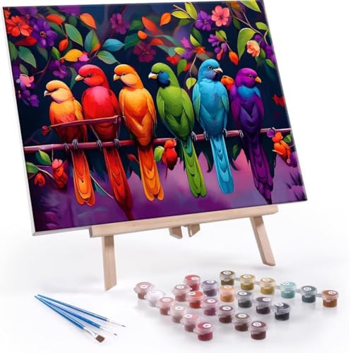 Malen Nach Zahlen Erwachsene - DIY Bunt Vogel Handgemalt Ölgemälde Kit für Anfänger, Mit 3-Pinseln und Acrylfarbe Handgemalt öLgemäLde Kit Als Geschenk Heimdekoration 70x90cm (Ohne Rahmen) R-507 von QIANLUOO