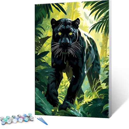 Malen Nach Zahlen Erwachsene - DIY Dschungel Schwarzer Panther Handgemalt Ölgemälde Kit für Anfänger, Mit 3-Pinseln und Acrylfarbe Handgemalt öLgemäLde Kit Als Heimdekoration 20x30cm (Ohne Rahmen) R57 von QIANLUOO