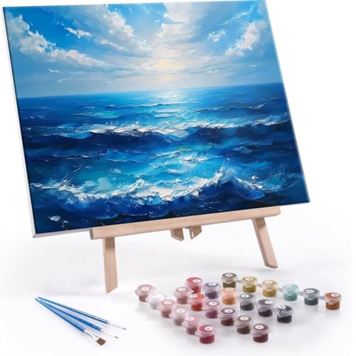 Malen Nach Zahlen Erwachsene - DIY Meer Blauer Himmel Handgemalt Ölgemälde Kit für Anfänger, Mit 3-Pinseln und Acrylfarbe Handgemalt öLgemäLde Kit Als Heimdekoration 50x70cm (Ohne Rahmen) R-602 von QIANLUOO