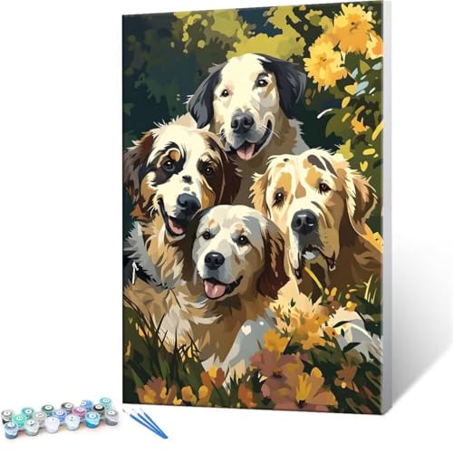 Malen Nach Zahlen Erwachsene - DIY Tiere Hunde Handgemalt Ölgemälde Kit für Anfänger, Mit 3-Pinseln und Acrylfarbe Handgemalt öLgemäLde Kit Als Geschenk Heimdekoration 35x50cm (Ohne Rahmen) R-67 von QIANLUOO