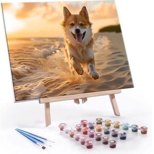 Malen Nach Zahlen Erwachsene - DIY Tiere Hunde Handgemalt Ölgemälde Kit für Anfänger, Mit 3-Pinseln und Acrylfarbe Handgemalt öLgemäLde Kit Als Geschenk Heimdekoration 50x70cm (Ohne Rahmen) R-569 von QIANLUOO