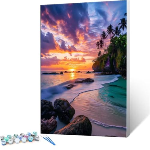 Malen Nach Zahlen Erwachsene - DIY Tropical Beach Handgemalt Ölgemälde Kit für Anfänger, Mit 3-Pinseln und Acrylfarbe Handgemalt öLgemäLde Kit Als Geschenk Heimdekoration 90x120cm (Ohne Rahmen) R-283 von QIANLUOO