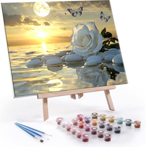 Malen Nach Zahlen Erwachsene - DIY Weiße Rose Sonnenuntergang Handgemalt Ölgemälde Kit für Anfänger, Mit 3-Pinseln und Acrylfarbe Handgemalt öLgemäLde Kit Als Heimdekoration 70x90cm (Ohne Rahmen) R489 von QIANLUOO