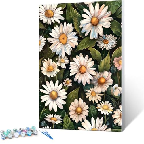 QIANLUOO Malen Nach Zahlen Erwachsene - DIY Daisy Handgemalt Ölgemälde Kit für Anfänger, Mit 3-Pinseln und Acrylfarbe Handgemalt öLgemäLde Kit Als Geschenk Heimdekoration 35x50cm (Ohne Rahmen) R-49 von QIANLUOO