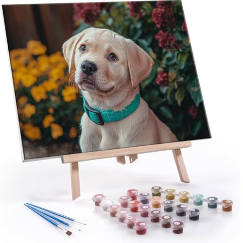 QIANLUOO Malen Nach Zahlen Erwachsene - DIY Hund Handgemalt Ölgemälde Kit für Anfänger, Mit 3-Pinseln und Acrylfarbe Handgemalt öLgemäLde Kit Als Geschenk Heimdekoration 60x80cm (Ohne Rahmen) R-601 von QIANLUOO