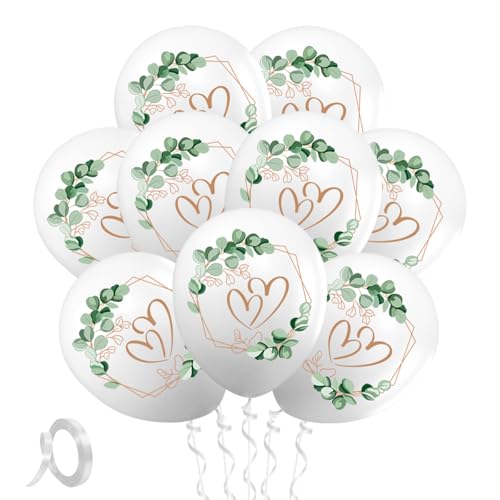 60 Stück Luftballons Hochzeit,12 Zoll Herz Ballons Hochzeit, Herzen Eukalyptus Hochzeitsballons Weiß für Heiratsantrag,Verlobung 60 Stück Luftballons Hochzeit,12 Zoll Herz Ballons Hochzeit, Herzen Eukalyptus Hochzeitsballons Weiß für Heiratsantrag,Verlobung von QIMMU