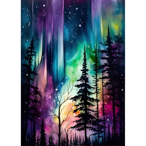 QINRUBB DIY Aurora Borealis Diamond Painting Erwachsene, 5D Nordlichter Diamant Painting Bilder Anfänger, Runder Vollbohrer Diamanten Malerei Stickerei Kreuzstich Geschenke Home Wand Dekor 30x40cm von QINRUBB