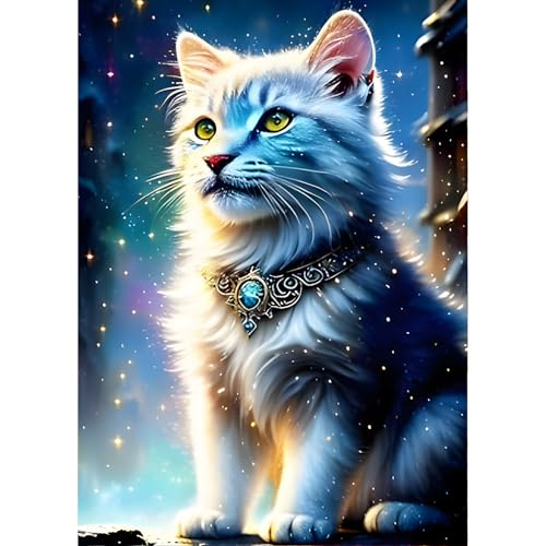 QINRUBB DIY Katze Diamond Painting Erwachsene, 5D Kätzchen Diamant Painting Bilder Anfänger, Sternenhimmel Runder Vollbohrer Diamanten Malerei Stickerei Kreuzstich Geschenke Home Wand Dekor 30x40cm von QINRUBB