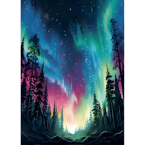 QINRUBB DIY Nachthimmel Diamond Painting Erwachsene, 5D Nordlichter Diamant Painting Bilder Anfänger, Runder Wald Vollbohrer Diamanten Malerei Stickerei Kreuzstich Geschenke Home Wand Dekor 30x40cm von QINRUBB