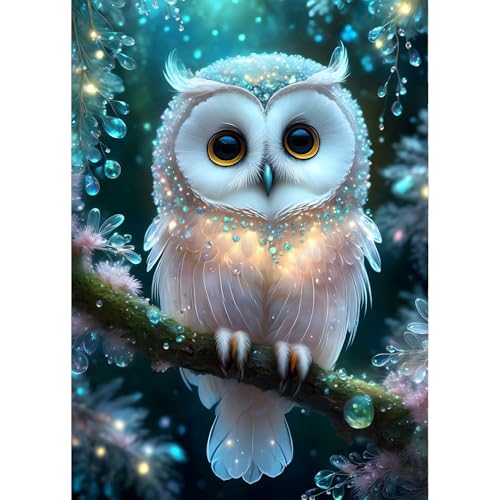 QINRUBB Eule Diamond Painting Erwachsene, 5D Fantasie Diamant Painting Bilder Anfänger, DIY Runder Vollbohrer Traumland Diamanten Malerei Stickerei Set Kreuzstich Geschenke Home Wand Dekor 30x40cm von QINRUBB