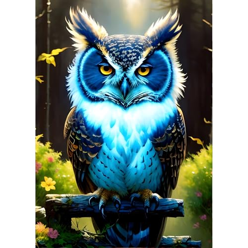 QINRUBB Fantasie Eule Diamond Painting Erwachsene, 5D Eule Diamant Painting Bilder Anfänger, DIY Traumland Runder Vollbohrer Diamanten Malerei Stickerei Kreuzstich Geschenke Home Wand Dekor 30x40cm von QINRUBB