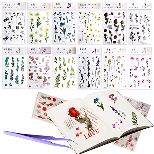 Blumen Aufkleber Sticker Scrapbooking Vintage PET Scrapbook Pflanzen Stickerbögen für DIY Dekoration Fotoalbum Kalender Notizbuch Tagebuch Sammelalbum Kunst Basteln Aufzählungszeichen Laptops von QIQN