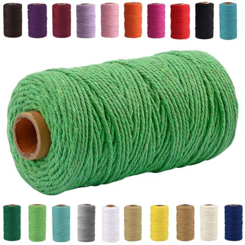 QIYIG Makramee-Seil, 3 mm x 100 m, Makramee-Seil, Baumwolle, handgefertigt, natürliche Baumwollkordel, Makramee-Schnur für Wandbehang, DIY, Geschenkverpackung (Hellgrün (1 Rolle)) von QIYIG