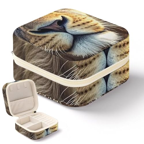 QMKFWT Schmuckkästchen mit Löwenbild, Mini-Reise-Box, kleiner Schmuck-Organizer für Ringe, Ohrringe, Anhänger, Halsketten, Organizer, Aufbewahrung, Etui, Geschenk von QMKFWT