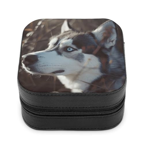 QMKFWT Schmuckkästchen mit blauen Augen und Husky-Hund, PU-Leder, personalisierbar, kleine Schmuckschatulle, tragbar, Mini-Schmuckschatulle für Ohrringe, Ringe, Halsketten, tragbare Geschenkidee von QMKFWT