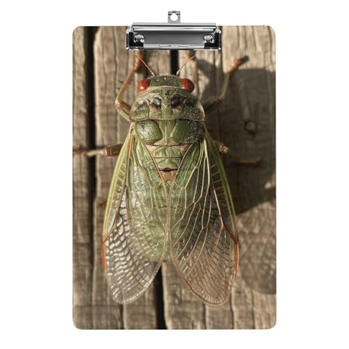 A Green Cicada Klemmbrett Acryl Klemmbrett A4 Klemmbretter Briefgröße Klemmbretter Büro Klemmbrett Menü Klemmbrett Formulare Halter UV-Druck Klemmbrett für Zuhause von QMNVBDS