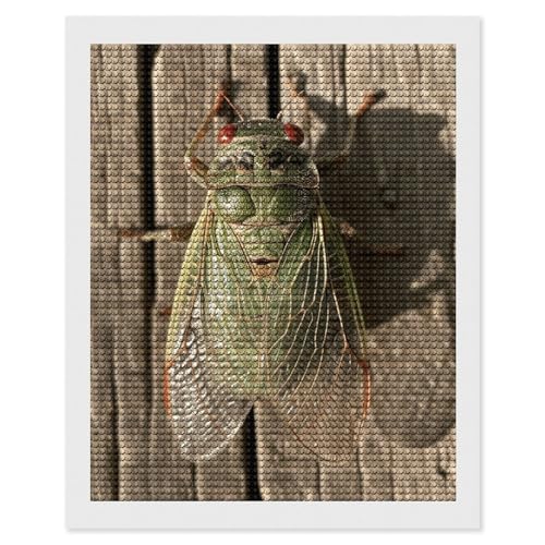 QMNVBDS A Green Cicada Diamond Painting Diamond Art Kits für Erwachsene, rund, Dirll Diamant-Malset, Diamant-Malerei-Set für Erwachsene, Anfänger, Edelsteinkunst, DIY, 5D-Diamant-Kunst-Kits, 40,6 x von QMNVBDS