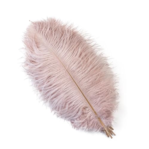 QRXALISA Straußenfedern 10 STÜCKE 15-60 cm Große Straußenfedern Straußenfedern Tischdekoration Party Hochzeit Zubehör Dekoration(Leather Pink,45-50cm) von QRXALISA