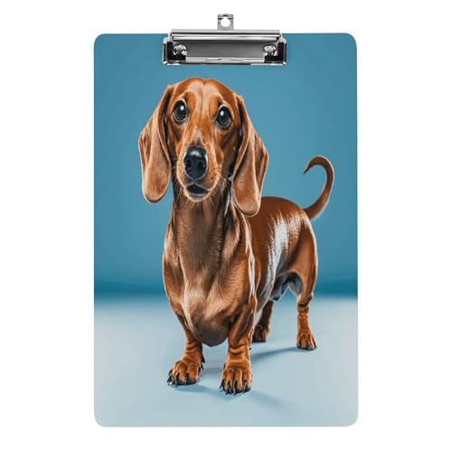 Acryl-Klemmbrett, 32,5 x 21,6 cm, transparent, hält 100 Blatt, lustiger Dackel-Weiner-Haustier-Druck, flaches Profil-Clip für Büro, Restaurant Acryl-Klemmbrett, 32,5 x 21,6 cm, transparent, hält 100 Blatt, lustiger Dackel-Weiner-Haustier-Druck, flaches Profil-Clip für Büro, Restaurant von QSKDLAC