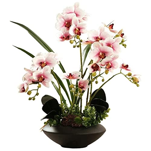 QTYQWC Orchidee Künstliche Blumen Faux Orchideen Set Orchideen Künstliche Kordelzug Vase Arrangement Topfpflanze Floral Künstliche Blumen Dekoration Indoor Natural Look von QTYQWC