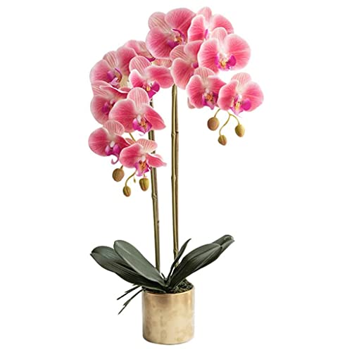 QTYQWC Orchidee Kunstblumen Topfpflanze Künstliche Phalaenopsis Blumen Wohnzimmer Deko Faux Orchideen Seide Minimalistisches Design Kunstblumen Natürliches Aussehen von QTYQWC