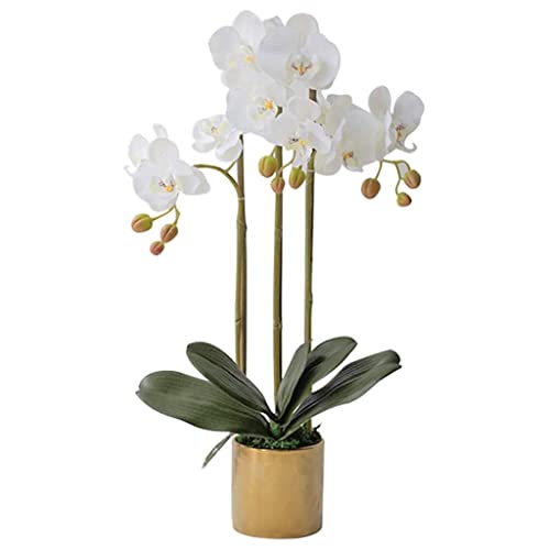 QTYQWC Orchidee Kunstblumen Topfpflanze Künstliche Phalaenopsis Blumen Wohnzimmer Deko Faux Orchideen Seide Minimalistisches Design Kunstblumen Natürliches Aussehen von QTYQWC