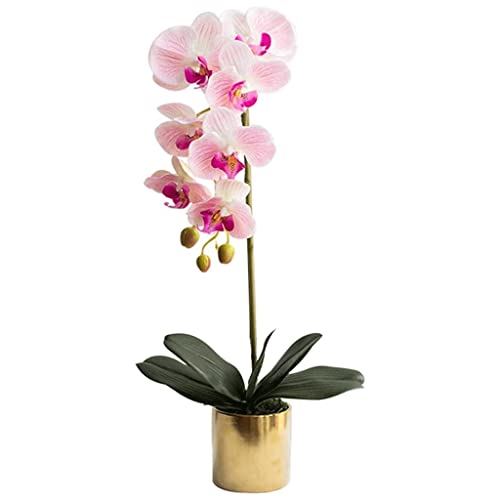 QTYQWC Orchidee Kunstblumen Topfpflanze Künstliche Phalaenopsis Blumen Wohnzimmer Deko Faux Orchideen Seide Minimalistisches Design Kunstblumen Natürliches Aussehen von QTYQWC