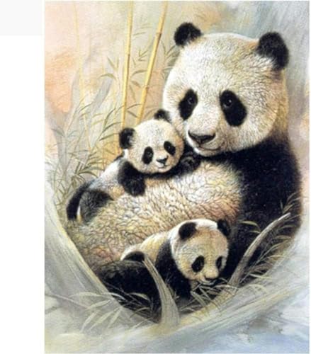 diy set sticken Vorgedruckt erwachsene anfanger Panda Familie Kreuzstich für Anself DIY Starter Stickbild Handwerk11CT Anfänger Home Decor(16×20inch） von QUEEN SHOW