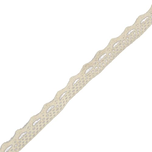QUXVUIS 1 Rolle Spitzenband Geschmeidige Exquisite Baumwolle Charmantes Stilvolles Tragbares Nähzubehör Gut aussehender Spitzenbesatz, Typ4 QUXVUIS 1 Rolle Spitzenband Geschmeidige Exquisite Baumwolle Charmantes Stilvolles Tragbares Nähzubehör Gut aussehender Spitzenbesatz, Typ4 von QUXVUIS