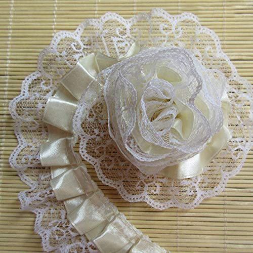 Bandbesätze for Nähen, Verzierungen for Kleidung, 10 Meter plissierter Organza mit 2-lagiger Spitzenkante(Beige) von QWFVHJ