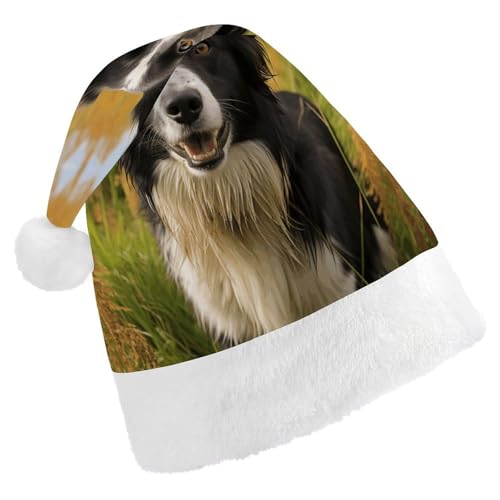 QWHJK Rote Weihnachtsmütze für Erwachsene, Mohado Border Collie, Hunde-Druck, lustige Weihnachtsmütze, dekorative Weihnachtsmütze, Festival-Erwachsene von QWHJK