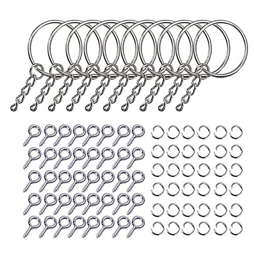 20 Sätze (220 Zubehör) Schlüsselring, Schlüsselanhänger ring, Schlüsselring mit Kette, Schlüsselanhänger Basteln, Schlüsselanhänger mit Spaltringe, für Schlüsselanhänger und Bastelarbeiten (Silber) von Qanye