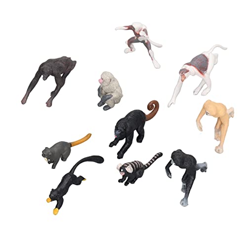Primaten-Modell-Set, Lebendige Kunststoff-Tiermodelle für Desktop-Dekoration und Bildungszwecke, 10 Stück, für und Tierliebhaber von Qcwwy