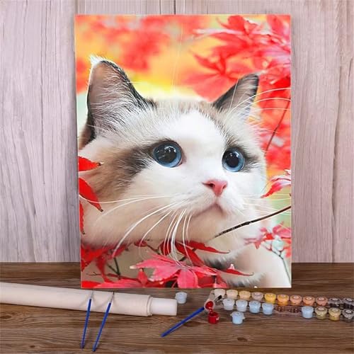 QiHon Malen Nach Zahlen Erwachsene Ahornblatt, Tier Katze DIY Handgemalt Ölgemälde Leinwand Kits, Digitales DIY Ölgemälde Set mit 3-Pinseln und Acrylfarbe, DIY Rahmen 40x50cm von QiHon