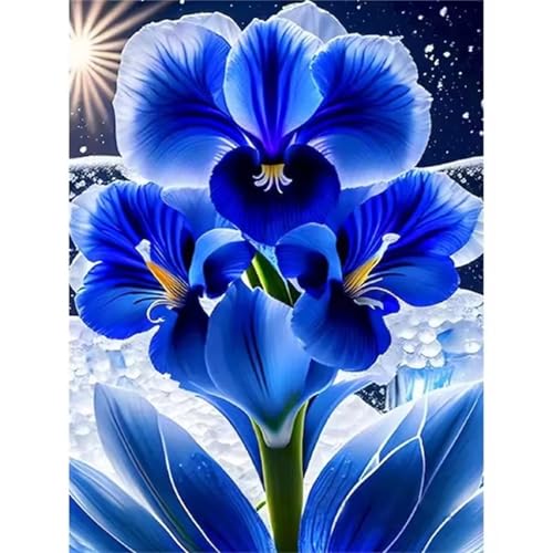 QiHon Malen Nach Zahlen Erwachsene Blaue Lilien, Sonne DIY Handgemalt Ölgemälde Leinwand Kits, Digitales DIY Ölgemälde Set mit 3-Pinseln und Acrylfarbe, DIY Rahmen 30x40cm von QiHon