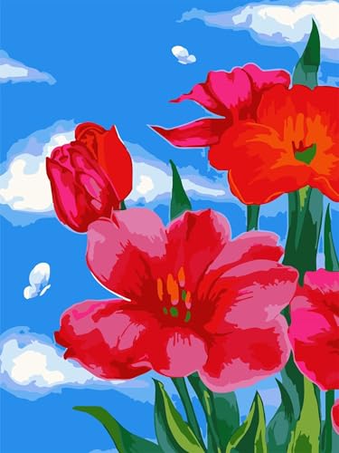 QiHon Malen Nach Zahlen Erwachsene Himmel, Blume Rot DIY Handgemalt Ölgemälde Leinwand Kits, Digitales DIY Ölgemälde Set mit 3-Pinseln und Acrylfarbe, DIY Rahmen 50x65cm von QiHon