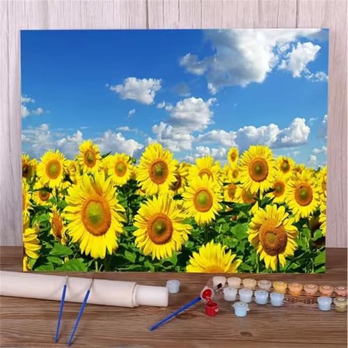 QiHon Malen Nach Zahlen Erwachsene Himmel, Sonnenblumen Malen Nach Zahlen für Anfänger, mit Pinsels und Acrylfarbe Als Geschenke und Heimdekoration, Ohne Rahmen 60x75cm von QiHon