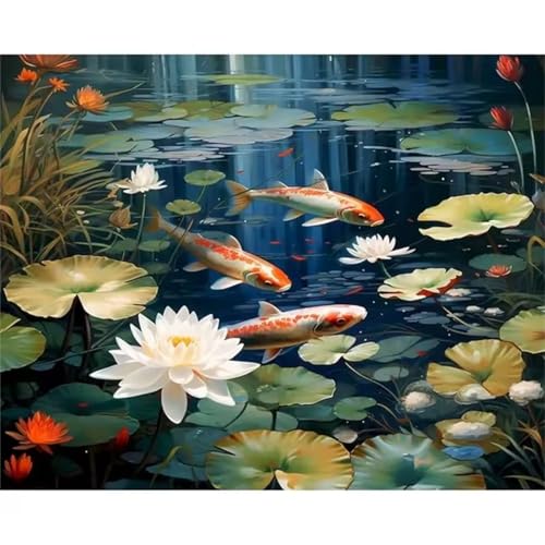 QiHon Malen Nach Zahlen Erwachsene Lotosblume, Koi DIY Handgemalt Ölgemälde Leinwand Kits, Digitales DIY Ölgemälde Set mit 3-Pinseln und Acrylfarbe, DIY Rahmen 30x40cm von QiHon